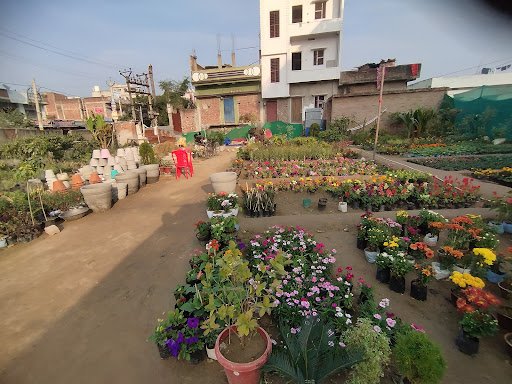 CNG fitting centre (Mogal kuan new rohoi road) CNG fitting centre (Mogal kuan new rohoi road)