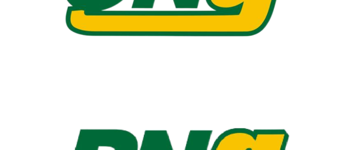 gail gas cng