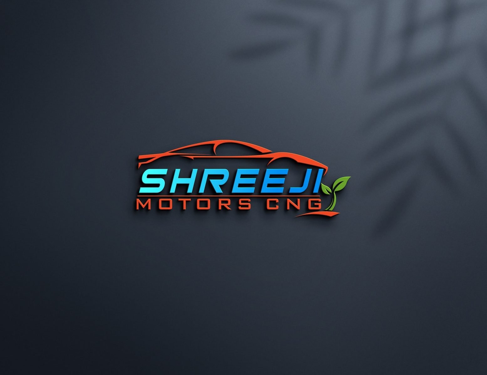 SHREEJI MOTORS CNG 2 shreeji motors cng